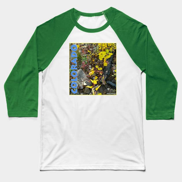 Colorado Aspen Anew Baseball T-Shirt by JEAndersonArt